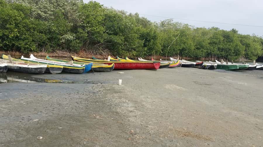 Mangroves, cultural fishing, black heritage town and lunch - What to bring and how to show up prepared