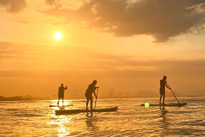 Paddleboard Tour - The Hour-Long Flow: Lesson, Paddle, and a Guided Return