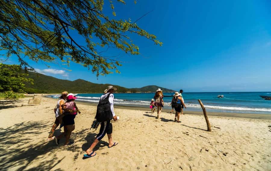 Santa Marta and Tayrona Park Day Trip - Playa Siete Olas viewpoint: the best kind of quick stop