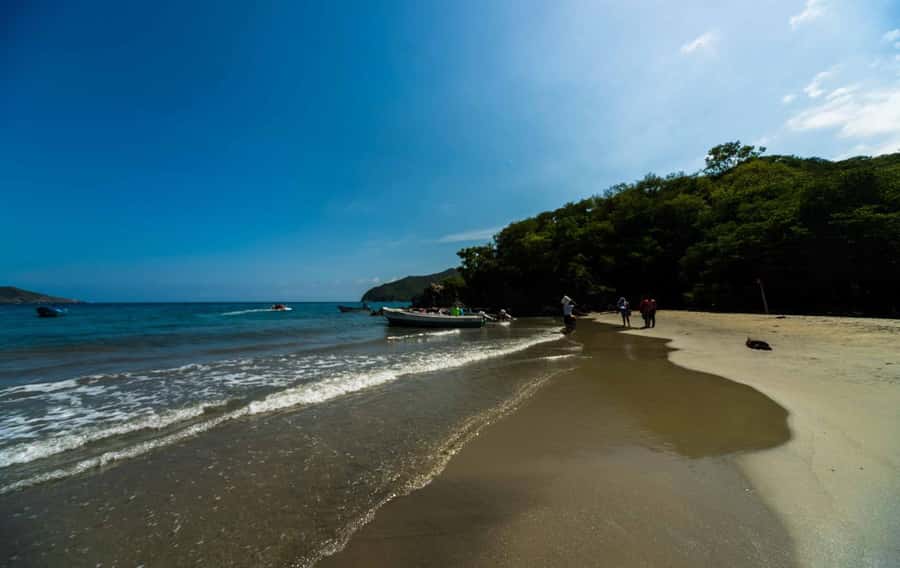 Santa Marta and Tayrona Park Day Trip - The early start and the Santa Marta pre-game (light breakfast included)