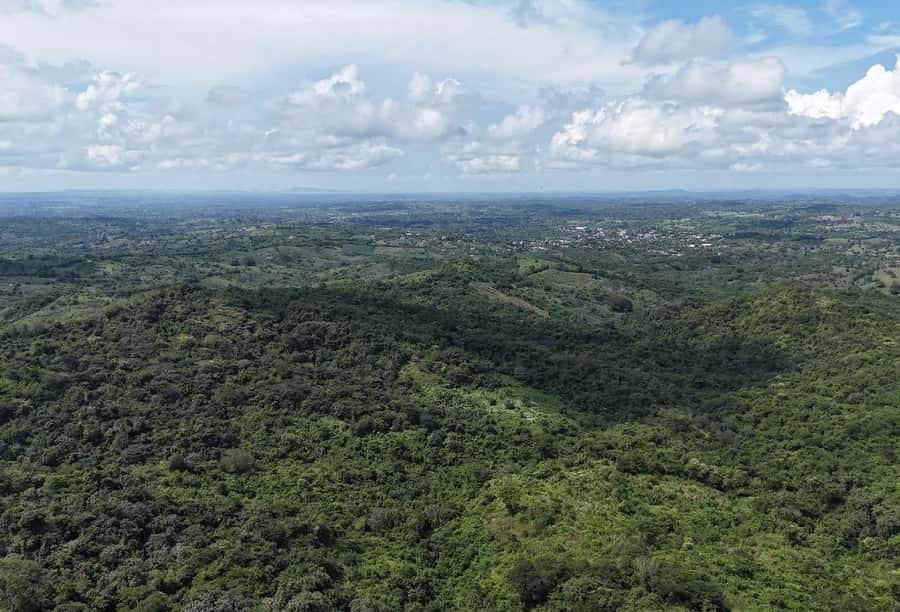 Scenic Horseback Ride in Tropical Mountain Reserve - Tree planting: your conservation souvenir that lasts