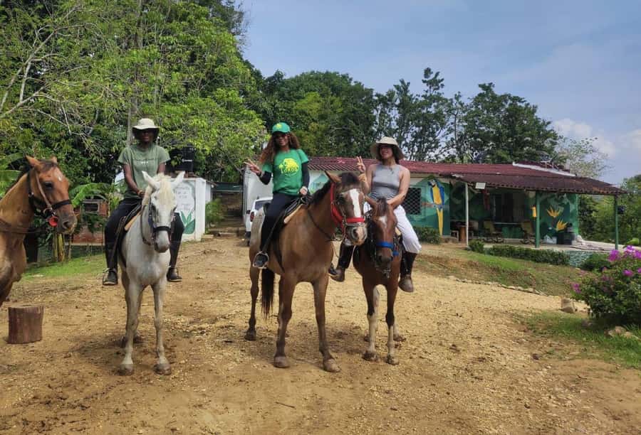 Scenic Horseback Ride in Tropical Mountain Reserve - UTV/ATV scenic views to close the day