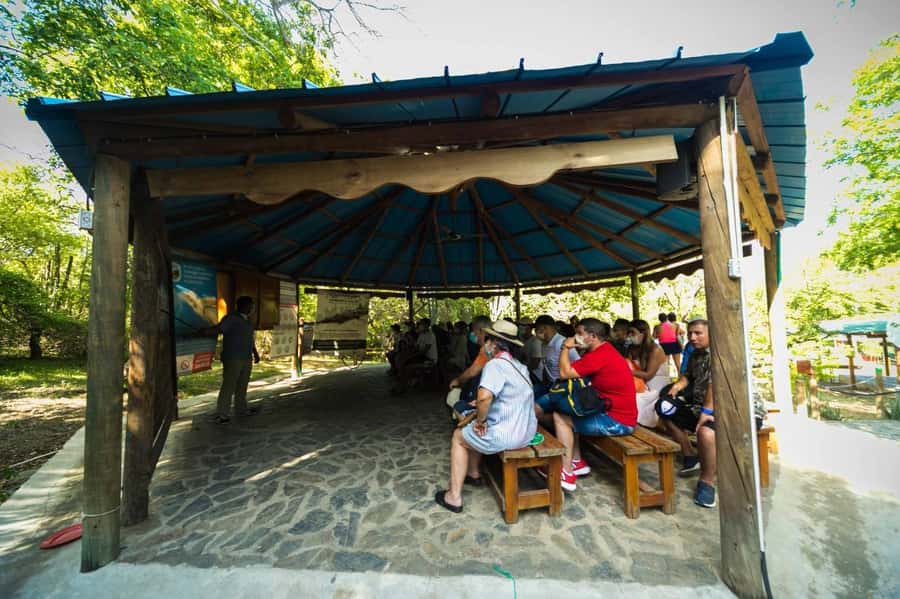 Tayrona Park adventure in Santa Marta: Cabo San Juan from Cartagena - Entering Tayrona: tickets, a conservation talk, and why it matters