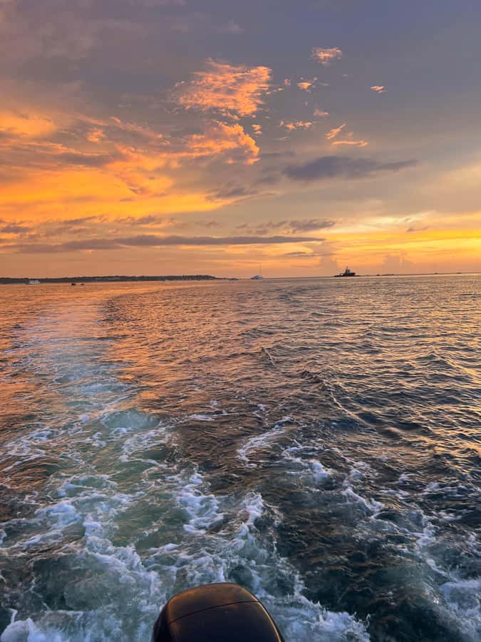 The best sunset tour in the bay: Open bar party & fun - Comfortable Boat, Accident Insurance, and Bilingual Hosting