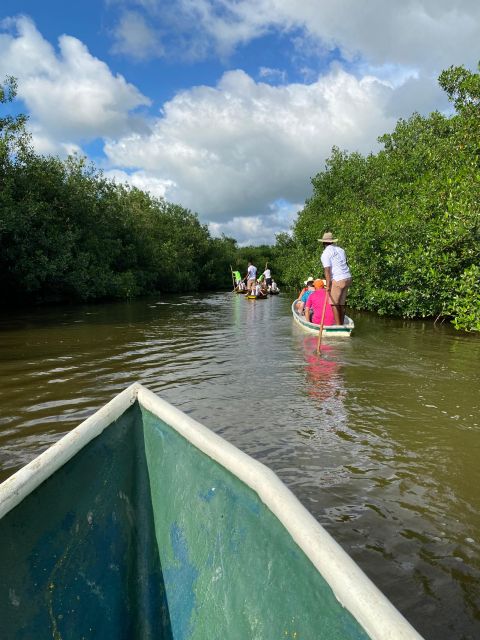 Typical lunch on beach, mangrove tour & fishing with natives - Beach time after lunch: swim, cool off, and slow down