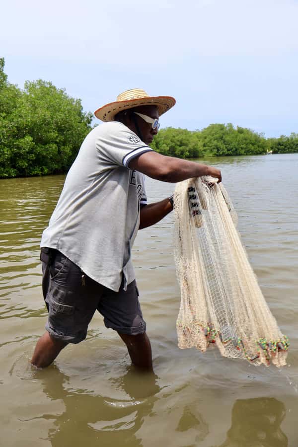 Typical lunch on beach, mangrove tour & fishing with natives - Price and value: what $84 buys you in a 4-hour day