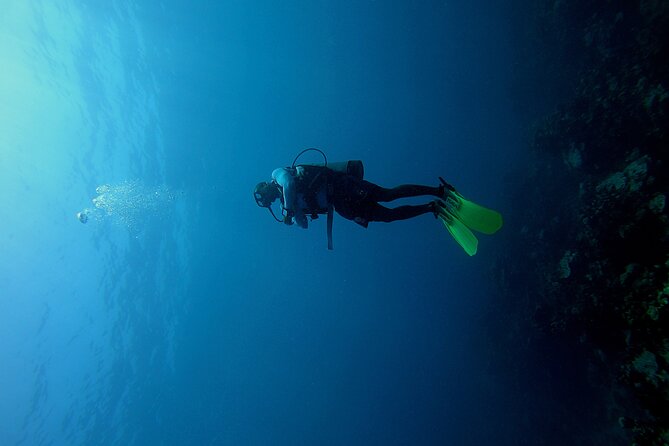 Under a sea of adventures, unforgettable diving. - Key things I’d lock in before you go